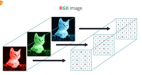 rgb image extract channel 2